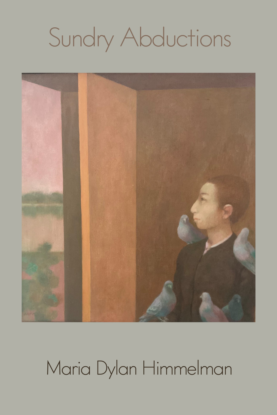 Sundry Abductions by Maria Dylan Himmelman