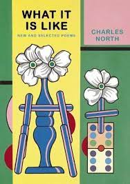 What It Is Like: New and Selected Poems Charles North